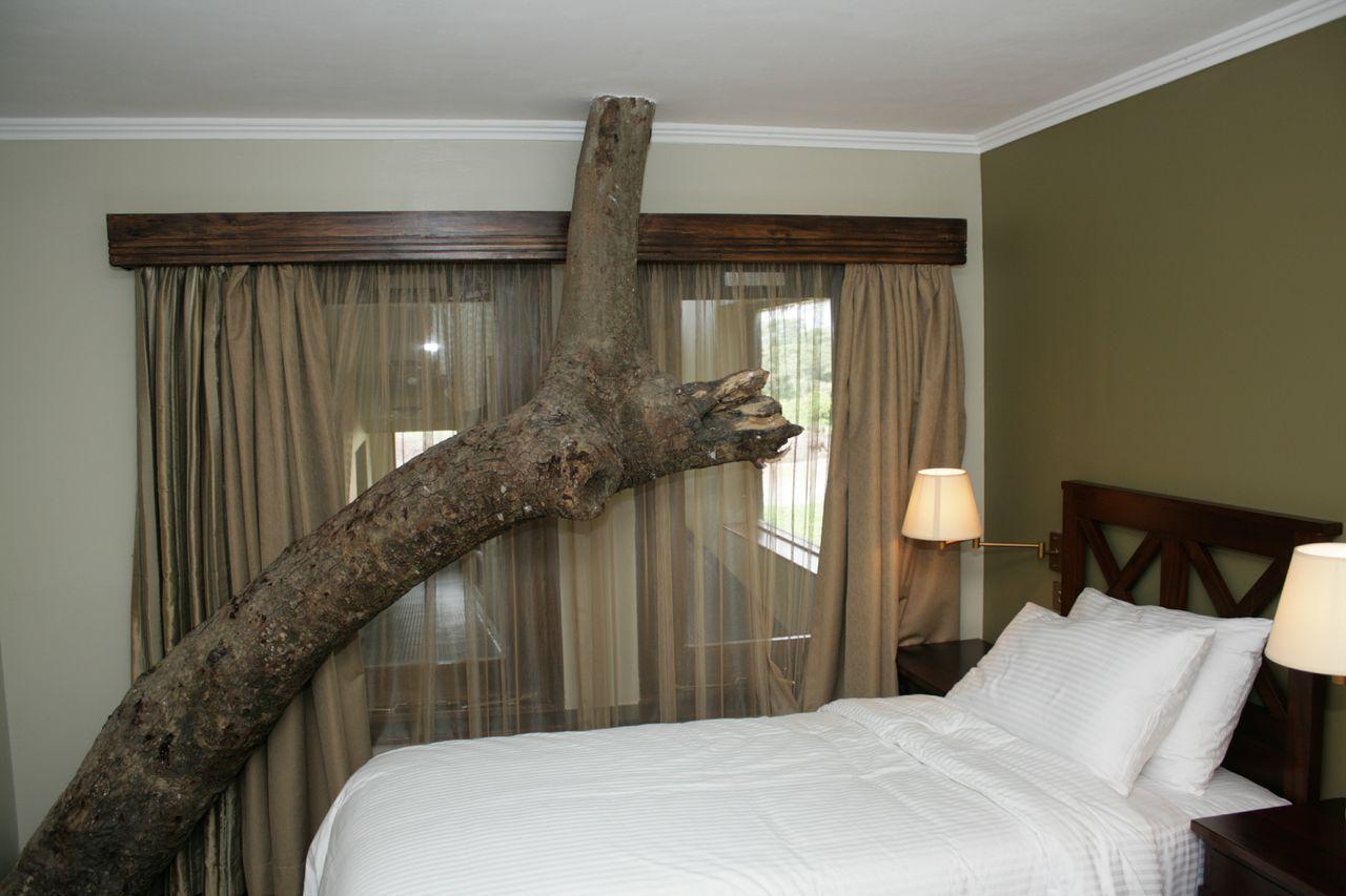 Mweiga Treetops חדר תמונה