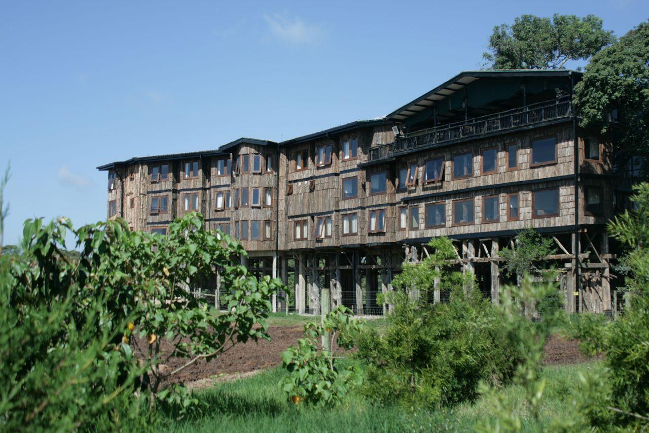 Mweiga Treetops מראה חיצוני תמונה