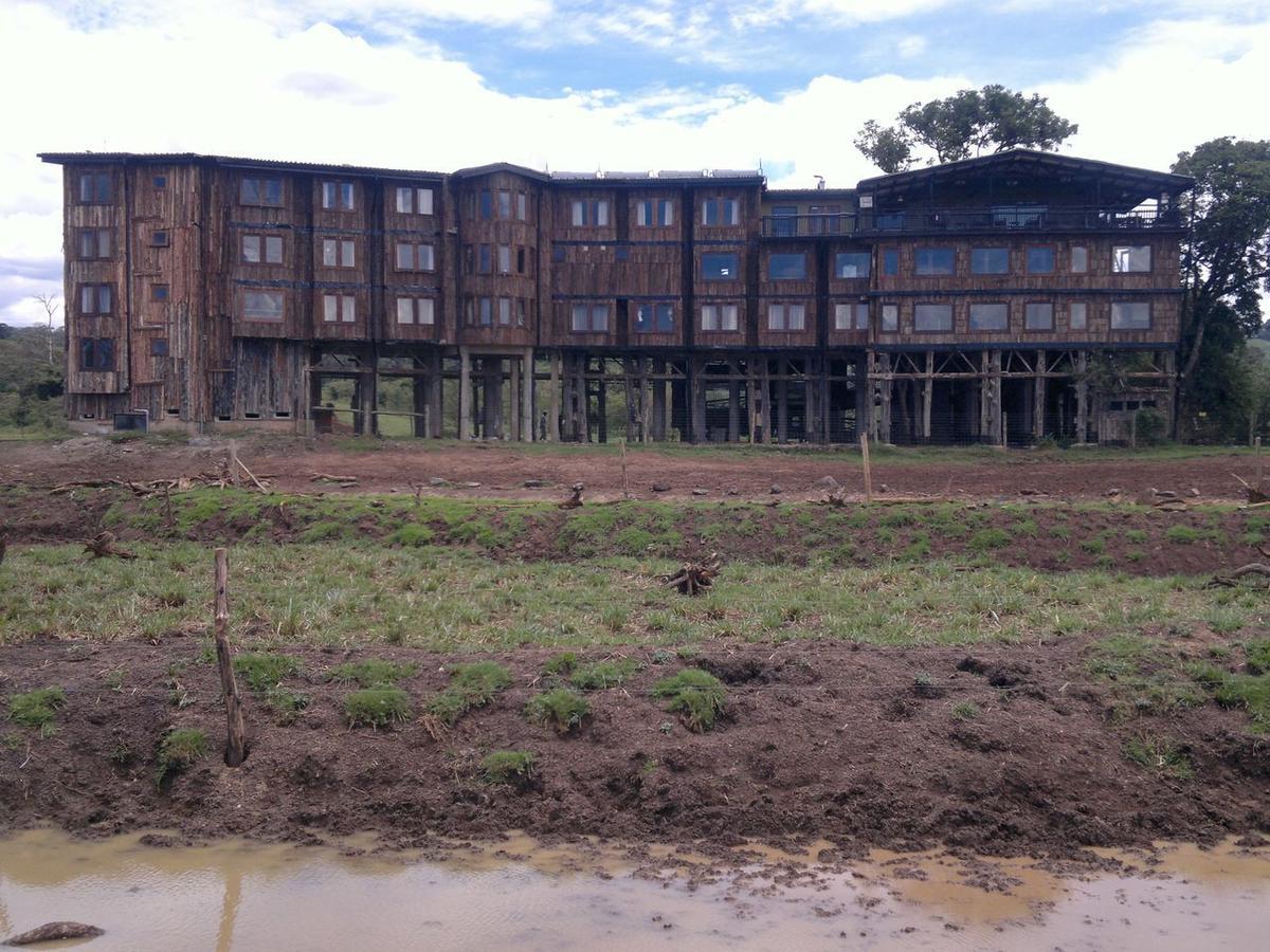 Mweiga Treetops מראה חיצוני תמונה