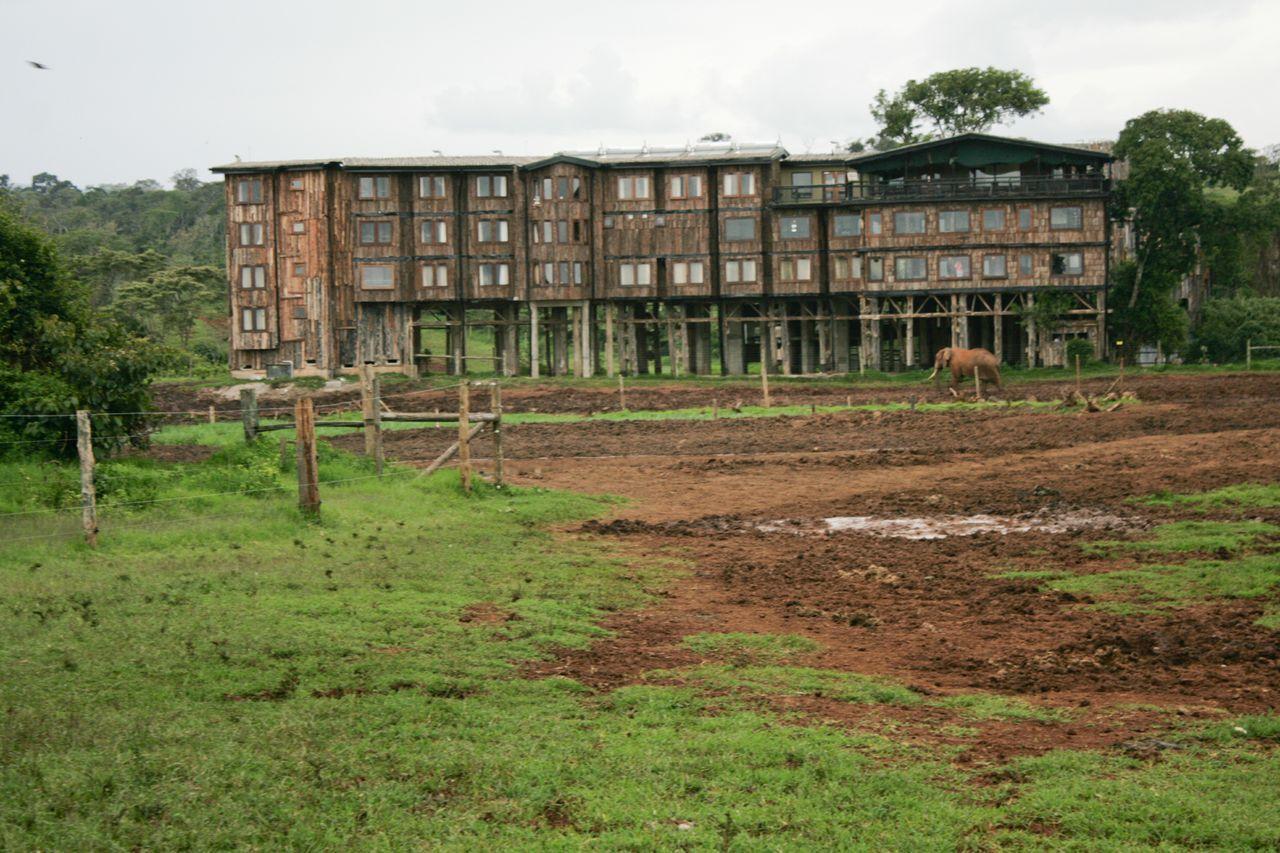 Mweiga Treetops מראה חיצוני תמונה