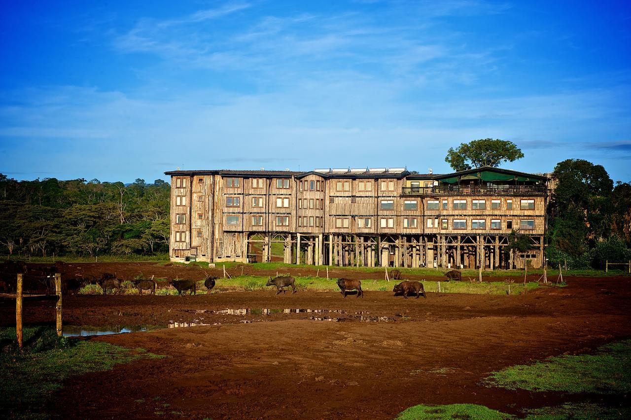 Mweiga Treetops מראה חיצוני תמונה